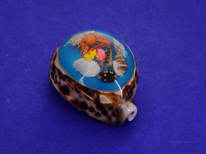 Sangu Paper Weight - Image 2