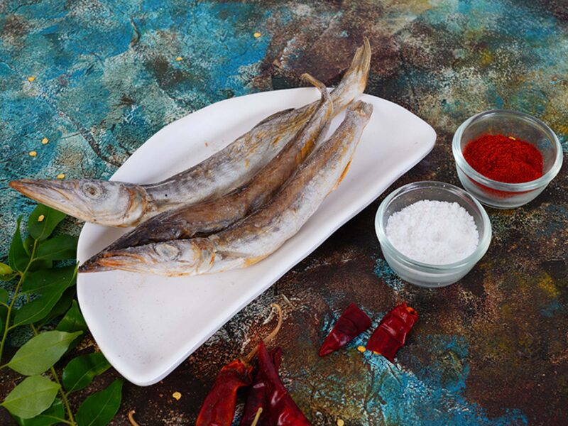 Dry Barracuda Fish