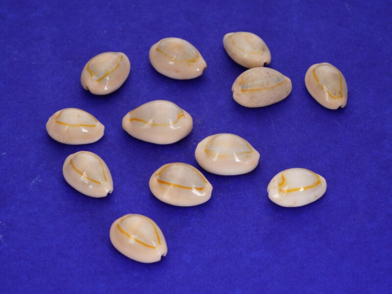 Sozhi Ring