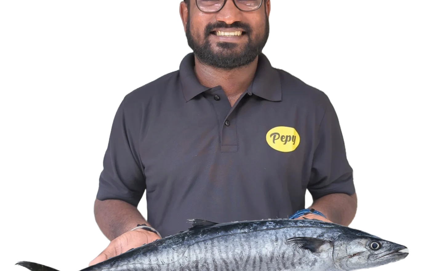 dry milk anchovies online