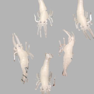 Glow Shrimp Soft Lure Set