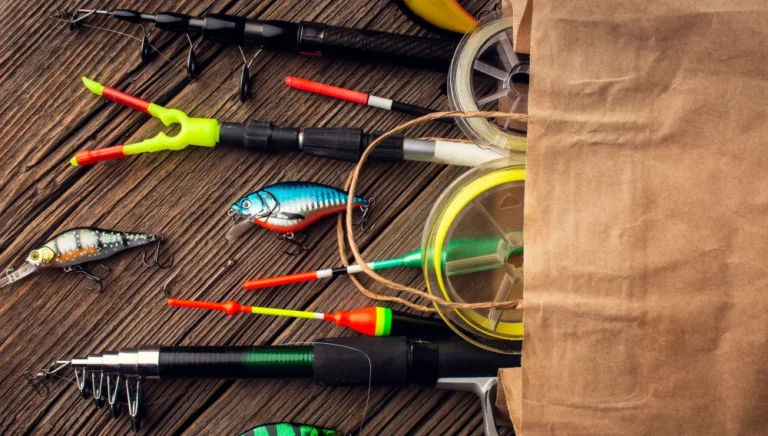 Best Fishing Rods, Reels and Lures in India – A Complete Buying Guide for Beginners